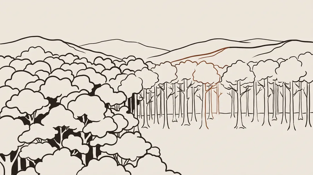 Flat ink-line illustration of a dense tree canopy on the left thinning into an evenly spaced, cleared stand of trunks with open ground between them, a low foothill ridgeline along the horizon behind both